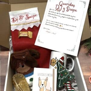 Pack Navidad Perro