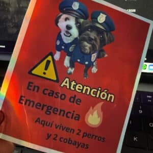 Pegatina personalizada “En caso de emergencia, rescata a mis mascotas”