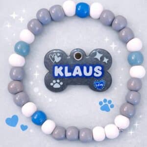 Collar y Chapas Personalizadas para Mascotas